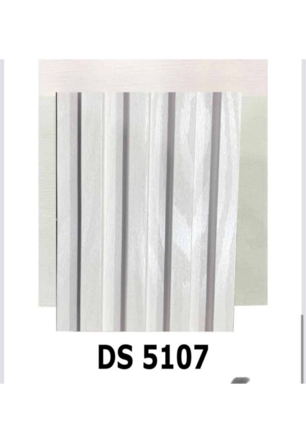 DS 5107
